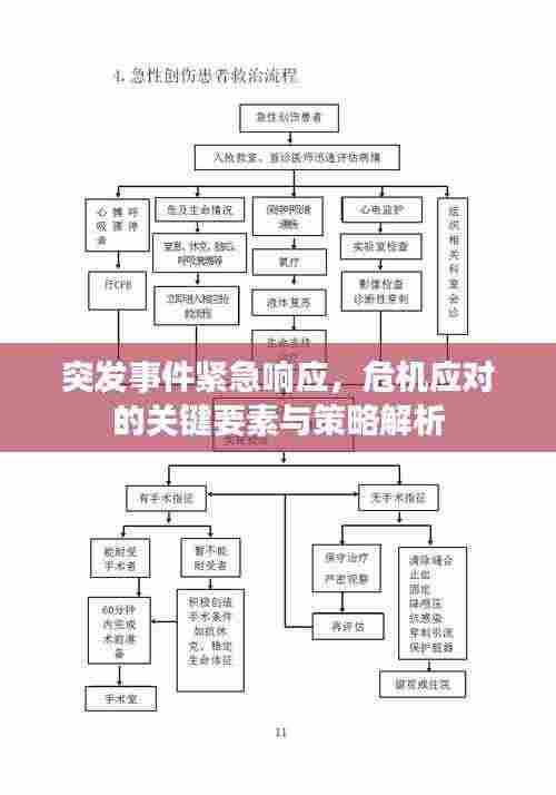 突发事件紧急响应,危机应对的关键要素与策略解析