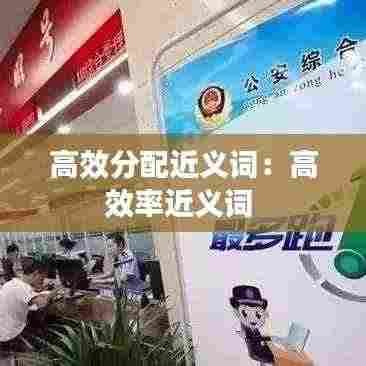 高效分配近义词：高效率近义词 