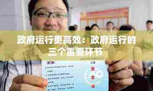 政府运行更高效：政府运行的三个重要环节 
