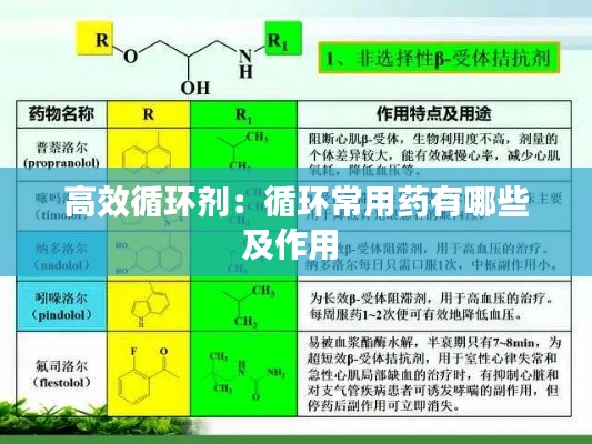 反朴还淳 第4页