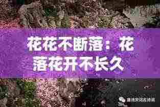 花花不断落:花落花开不长久