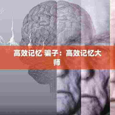 高效记忆 骗子:高效记忆大师