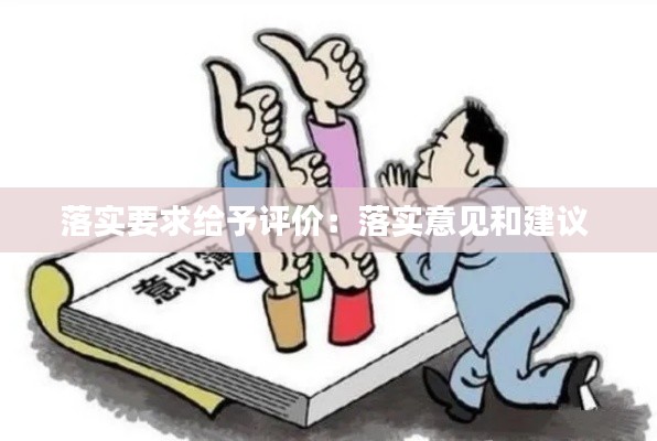 落实要求给予评价：落实意见和建议 