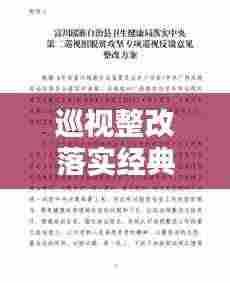 巡视整改落实经典语句:巡视整改整改措施
