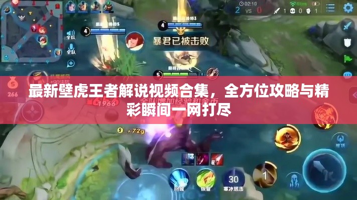最新壁虎王者解说视频合集,全方位攻略与精彩瞬间一网打尽