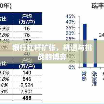 银行杠杆扩张,机遇与挑战的博弈