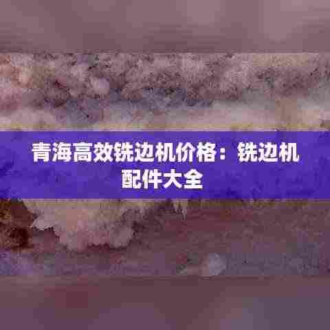 青海高效铣边机价格：铣边机配件大全 