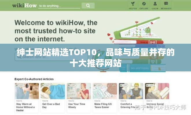 绅士网站精选TOP10,品味与质量并存的十大推荐网站