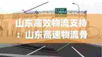 山东高效物流支持:山东高速物流骨干网