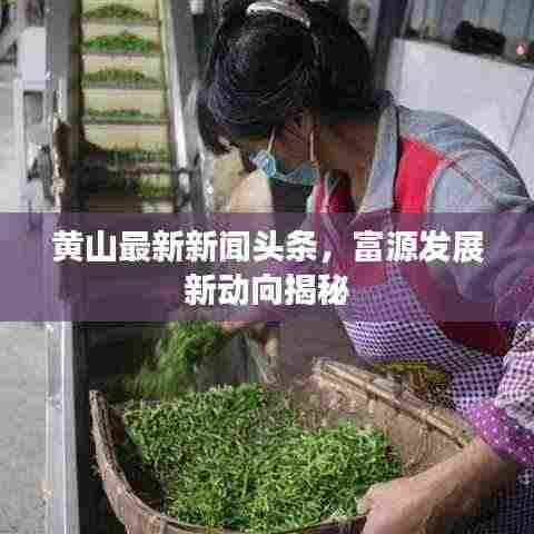 黄山最新新闻头条,富源发展新动向揭秘