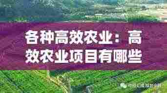 草率从事 第3页