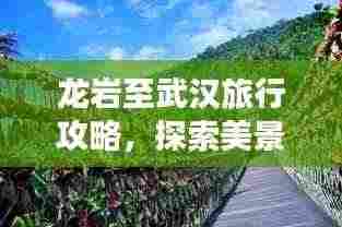 龙岩至武汉旅行攻略,探索美景,尽享风情之旅