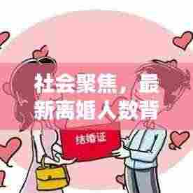 社会聚焦，最新离婚人数背后的深度解析