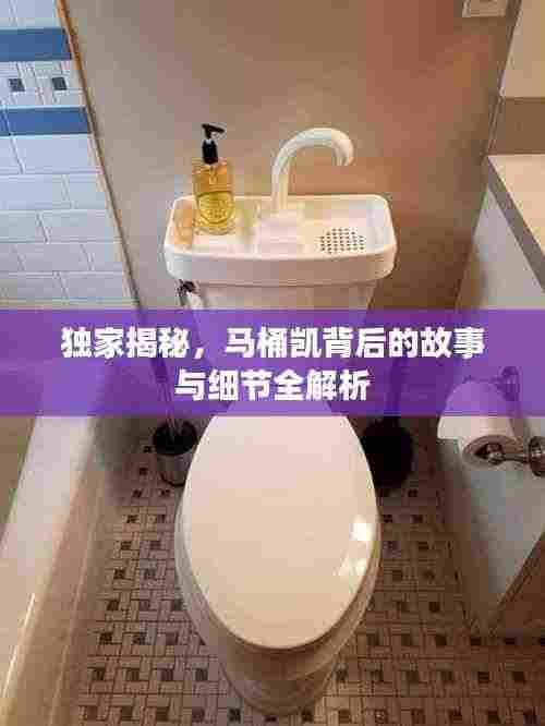 独家揭秘,马桶凯背后的故事与细节全解析