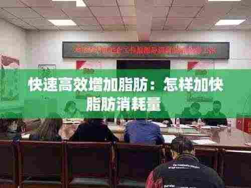 快速高效增加脂肪:怎样加快脂肪消耗量