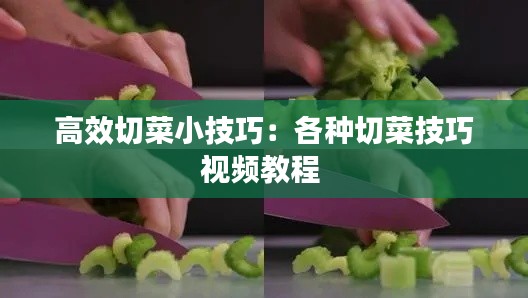 高效切菜小技巧:各种切菜技巧视频教程