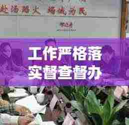 工作严格落实督查督办：工作督查要求讲话 