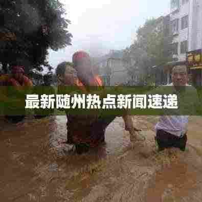 最新随州热点新闻速递