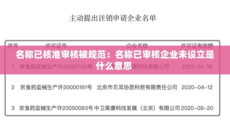 名称已核准审核被规范:名称已审核企业未设立是什么意思