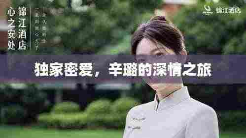 独家密爱,辛璐的深情之旅