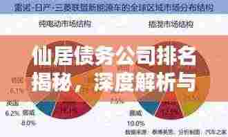 仙居债务公司排名揭秘，深度解析与比较
