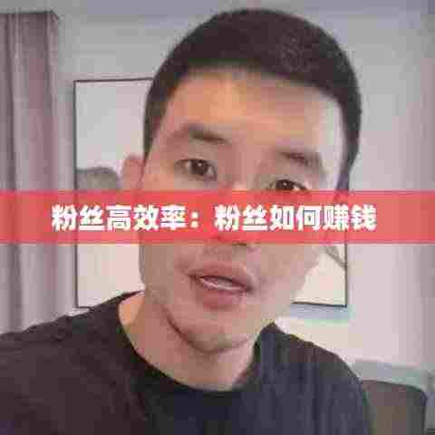 粉丝高效率:粉丝如何赚钱