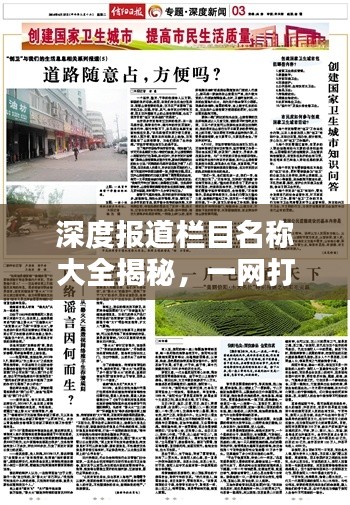 深度报道栏目名称大全揭秘，一网打尽各类精彩标题！