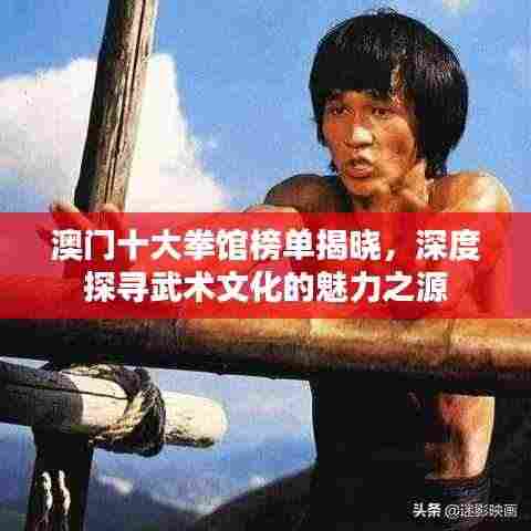 澳门十大拳馆榜单揭晓，深度探寻武术文化的魅力之源