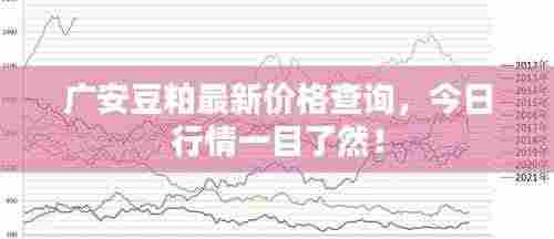 广安豆粕最新价格查询，今日行情一目了然！