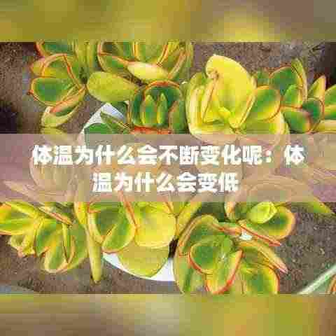 体温为什么会不断变化呢:体温为什么会变低