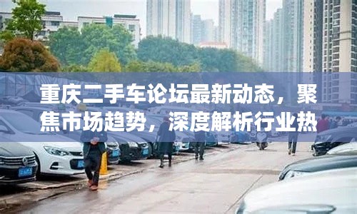 三人成虎 第3页