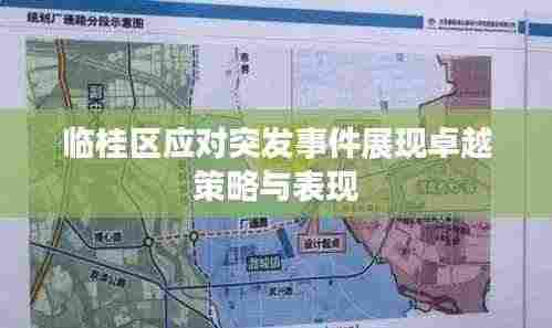 临桂区应对突发事件展现卓越策略与表现