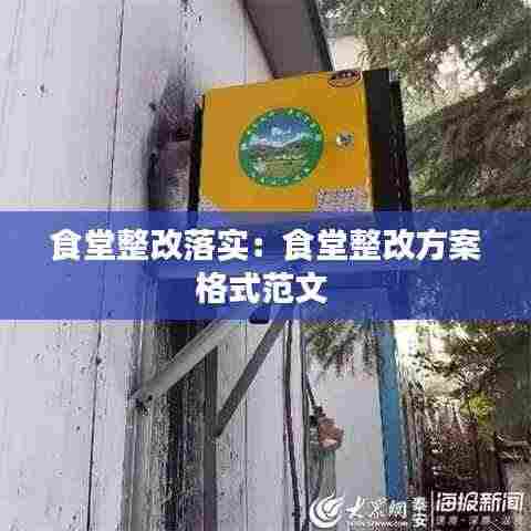 食堂整改落实:食堂整改方案格式范文