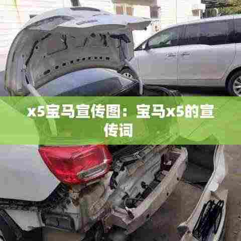 漫天飞舞 第3页