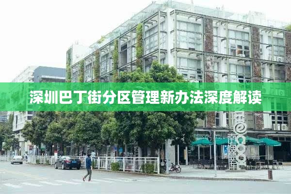 深圳巴丁街分区管理新办法深度解读
