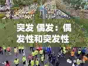 突发 偶发:偶发性和突发性