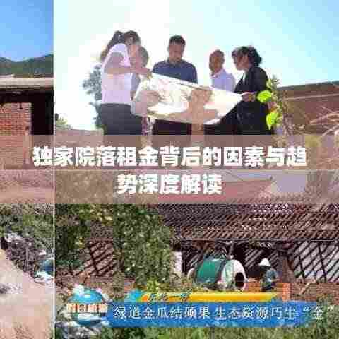 独家院落租金背后的因素与趋势深度解读