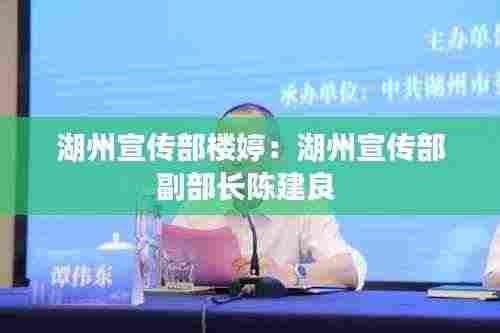 湖州宣传部楼婷:湖州宣传部副部长陈建良