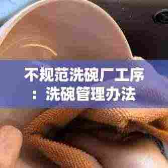 不规范洗碗厂工序:洗碗管理办法