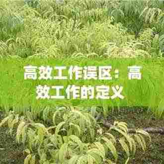 高效工作误区:高效工作的定义