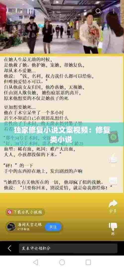 独家修复小说文案视频:修复类小说