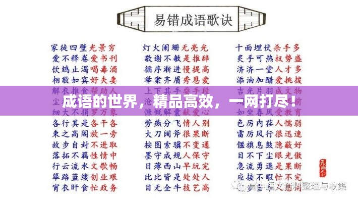 成语的世界，精品高效，一网打尽！
