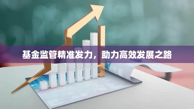 基金监管精准发力,助力高效发展之路