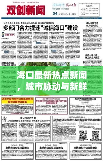 海口最新热点新闻,城市脉动与新鲜事回顾