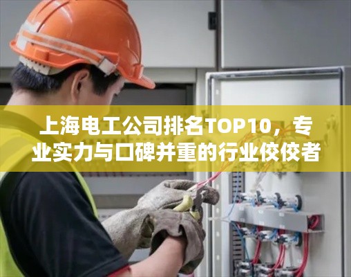 上海电工公司排名TOP10,专业实力与口碑并重的行业佼佼者