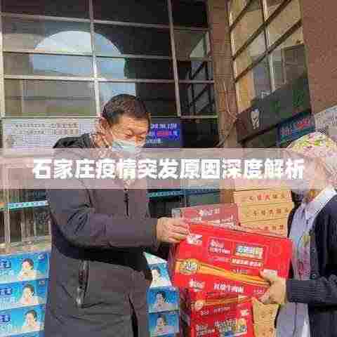 石家庄疫情突发原因深度解析