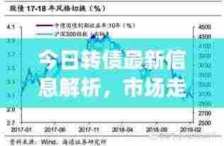今日转债最新信息解析,市场走势揭秘与投资者应对策略建议