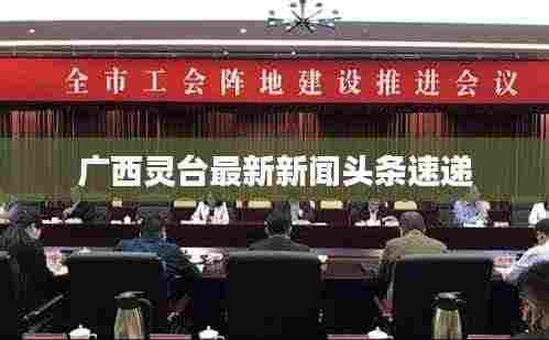 广西灵台最新新闻头条速递