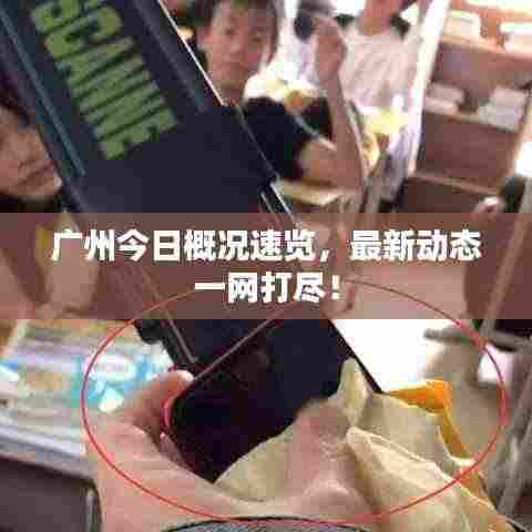 广州今日概况速览,最新动态一网打尽!
