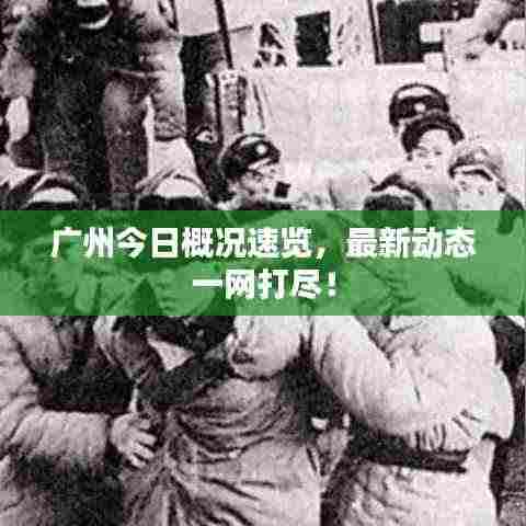 广州今日概况速览,最新动态一网打尽!